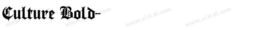 Culture Bold字体转换